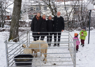 Schaf mit Lämmern