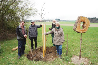 Lutherbaum in Baierbach